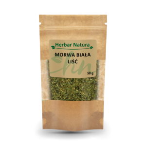 Morwa biała liść